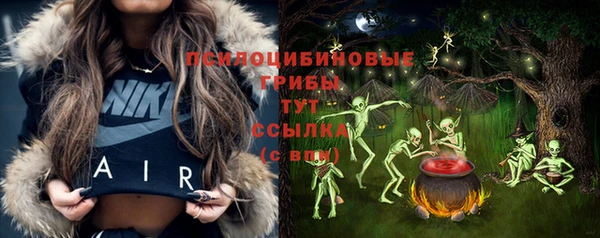 бутират Горно-Алтайск